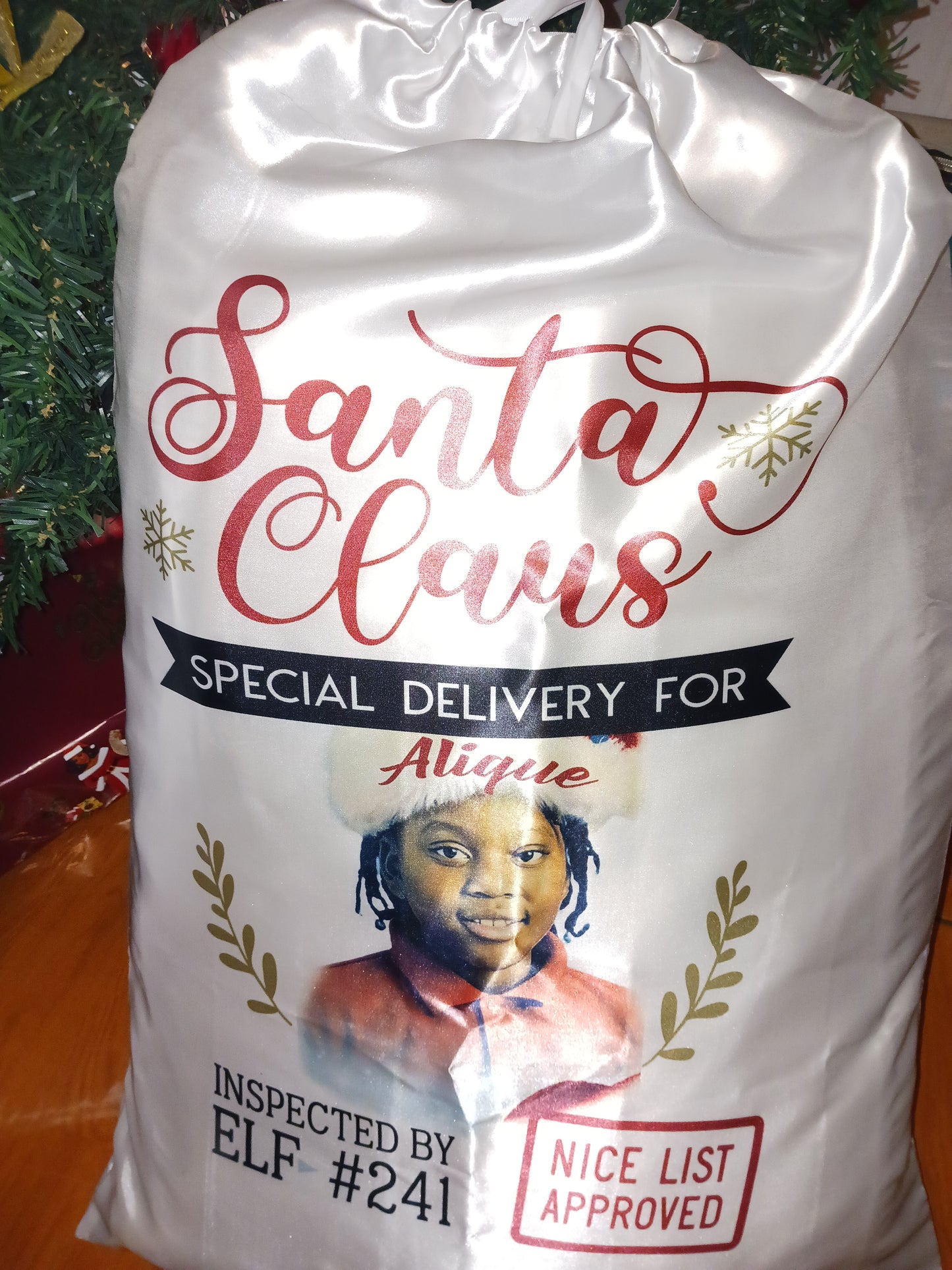 Santa Sacks